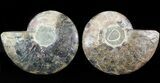 Cut/Polished Ammonite Pair - Agatized #47688-1